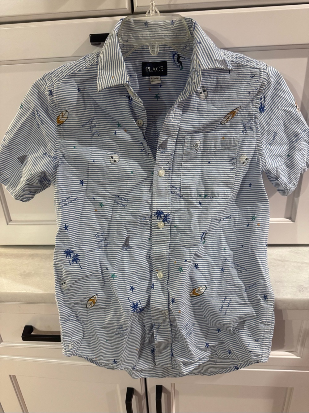 The Children's Place Blue Striped Short-Sleeve Button-Up Shirt